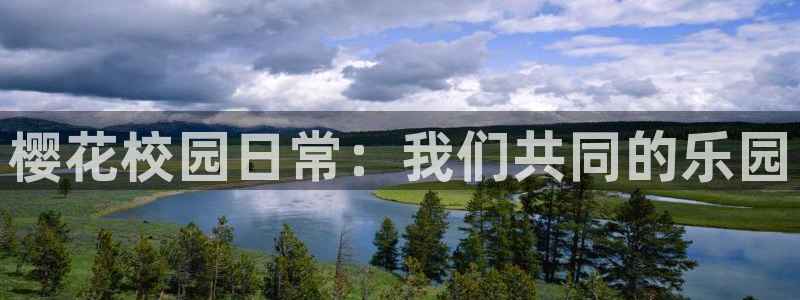 家庭影院星空顶价格