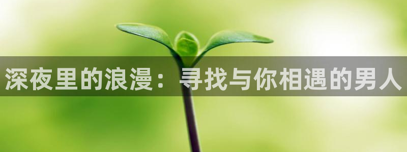 星空影视院