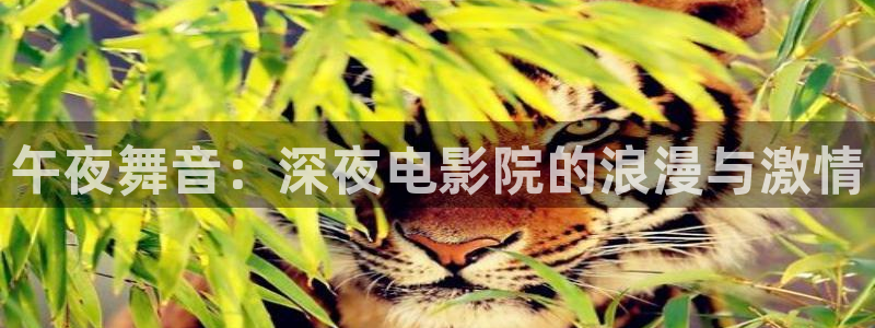 星空下的少年动漫电影免费观看