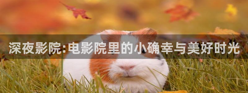 星空影视怎么下载