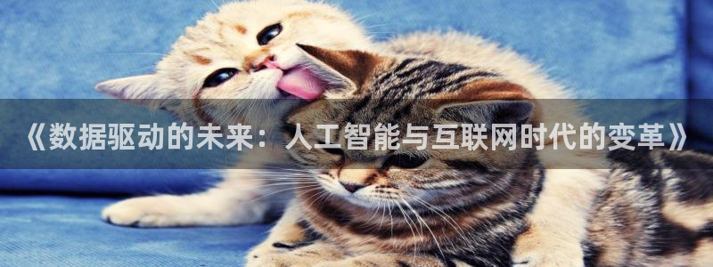 星辰影院电视剧免费大全