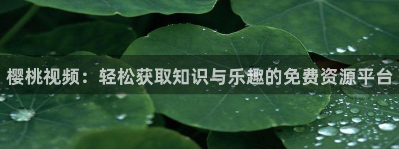 星辰影院免费播放的电视剧大全在线观看