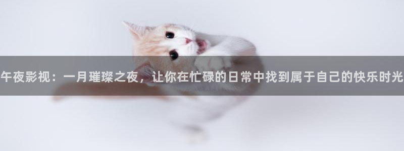 星空无限传媒免费高清观看