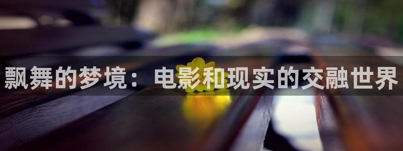 星空影业有限公司