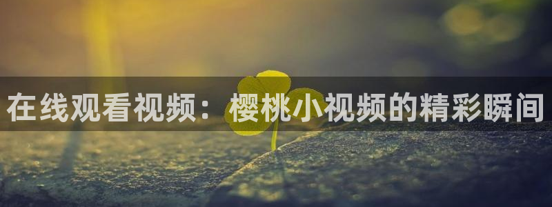 星空免费电影