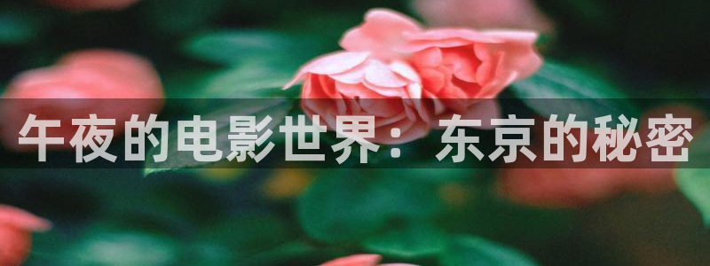 星空视频免费观看高清完整版