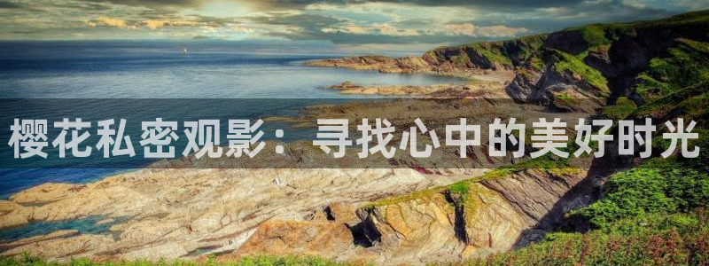 星辰影院系统