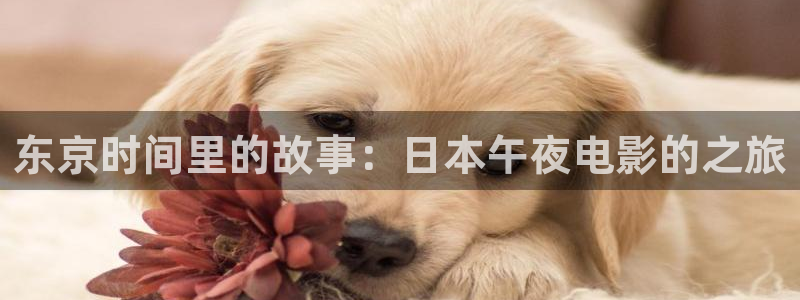 星辰影院在线免费观看