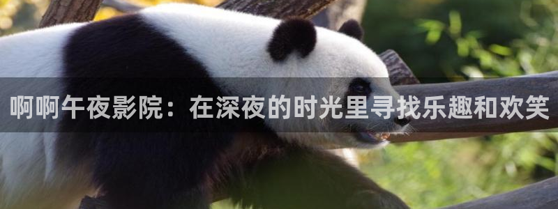 鸣龙少年星辰影院