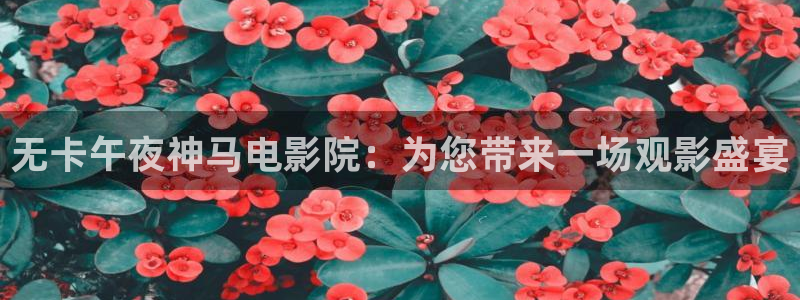 星空影视免费版app