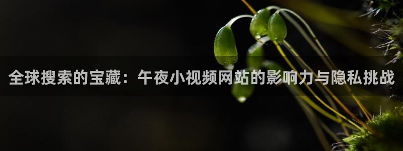星空影视剧网站大全