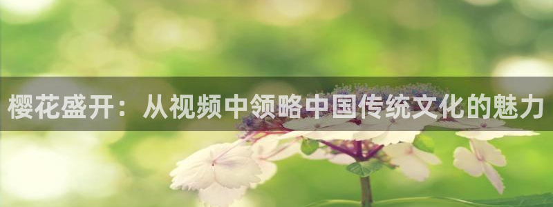 星空影视传媒免费观看