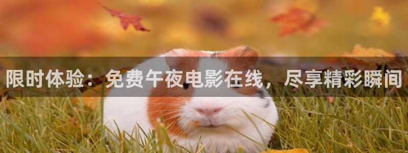 家庭影院星空顶价格