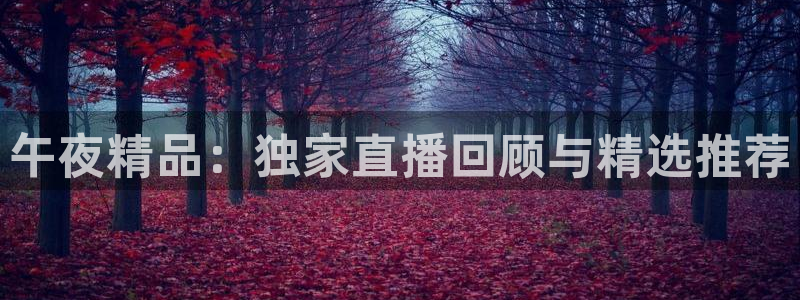 妈妈的朋友星辰影院
