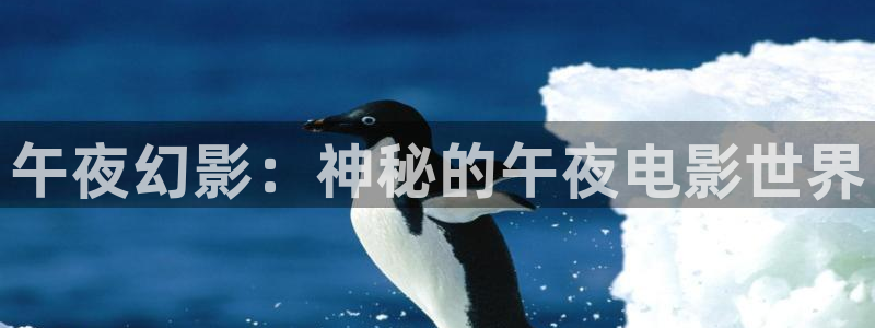 星空影城今日影讯