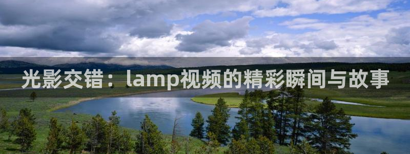 星辰影院免费在线看电影