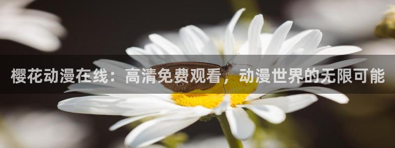 星空无限传媒影视免费观看