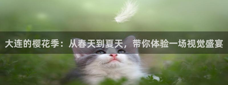 星空电影院在线观看