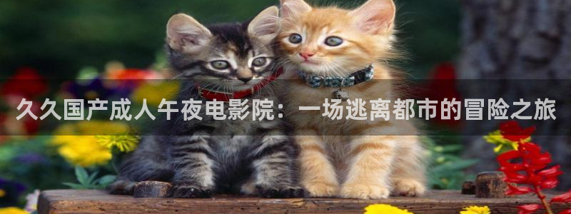 星辰影院在线观看全集免费高清电视