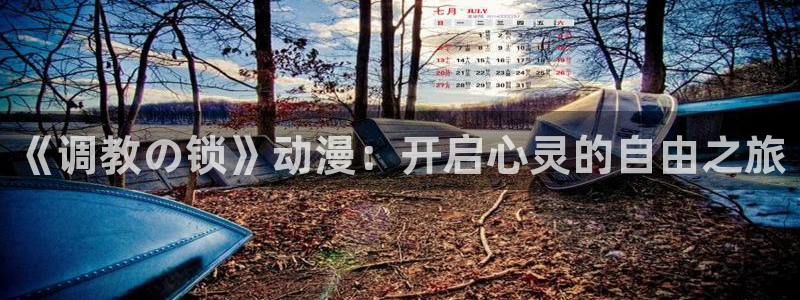 星空影视正版下载